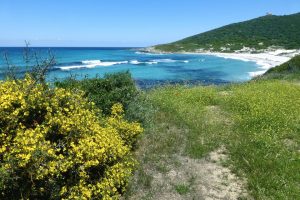 Westküste Seelenreise Korsika Natur-Retreat