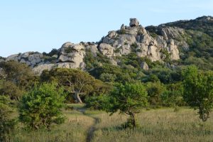 Plateau de Cauria Seelenreise Korsika Natur-Retreat