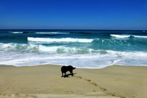 Meer Strand Natur-Spirituelle Reise Korsika